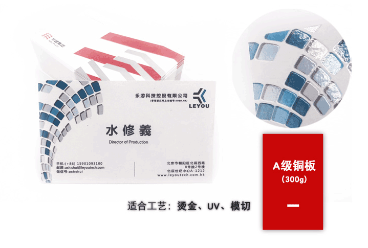 銅板紙名片 第2張 銅板紙名片 第2張