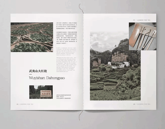 茶葉畫冊  第4張