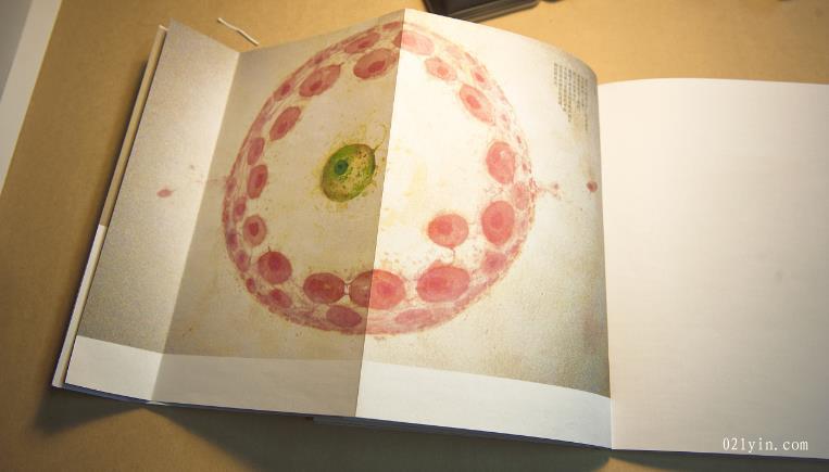 上海印刷公司-什么是重要的公司畫冊設計技巧? 第1張 上海印刷公司-什么是重要的公司畫冊設計技巧? 第1張