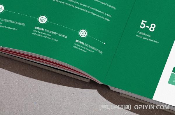 綠色產(chǎn)品手冊(cè)印刷  第4張