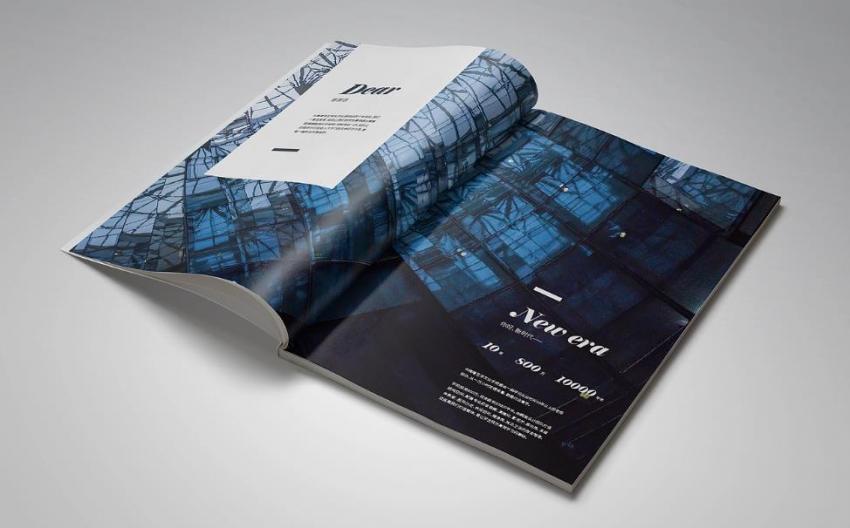 上海招商宣傳冊印刷_招商合作推廣_突出優勢亮點