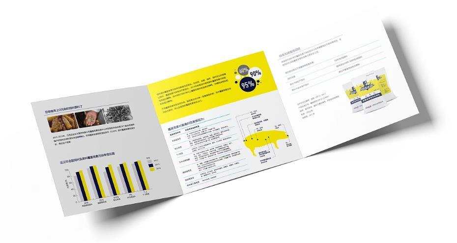 上海會展三折頁印刷 | 展會宣傳冊 | 現場物料支持